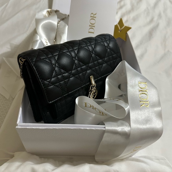 Dior Handbags - AUTHENTIC DIOR My Dior Daily chain pouch
